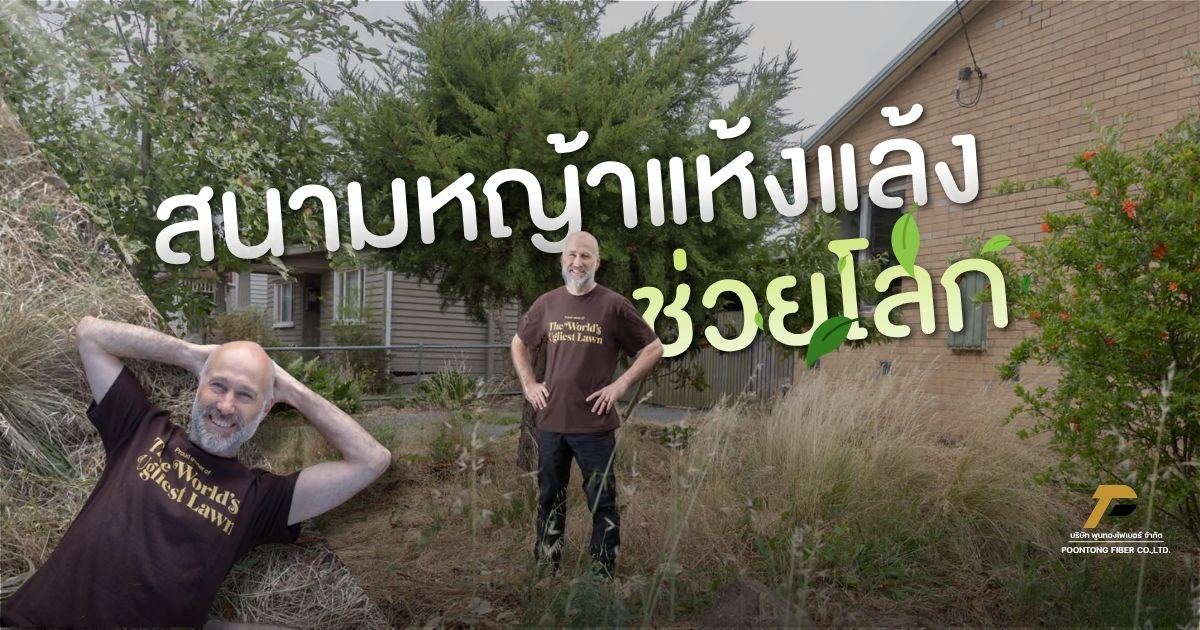 Banner สนามหญ้าแห้งแล้งช่วยโลก