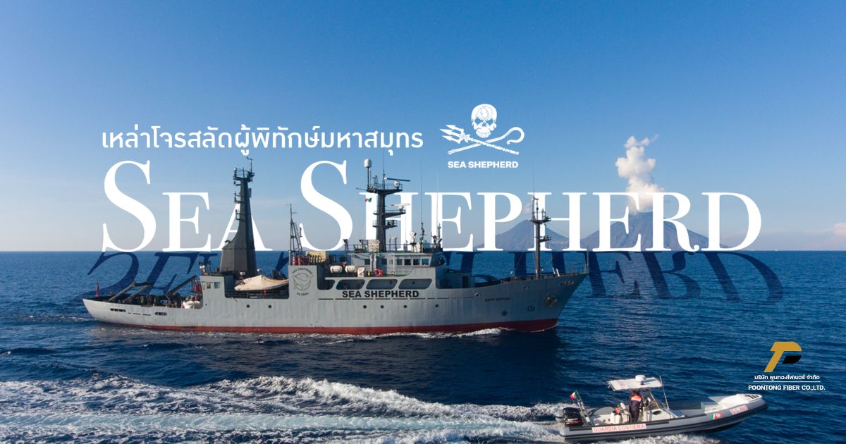 banner Sea Shepherd