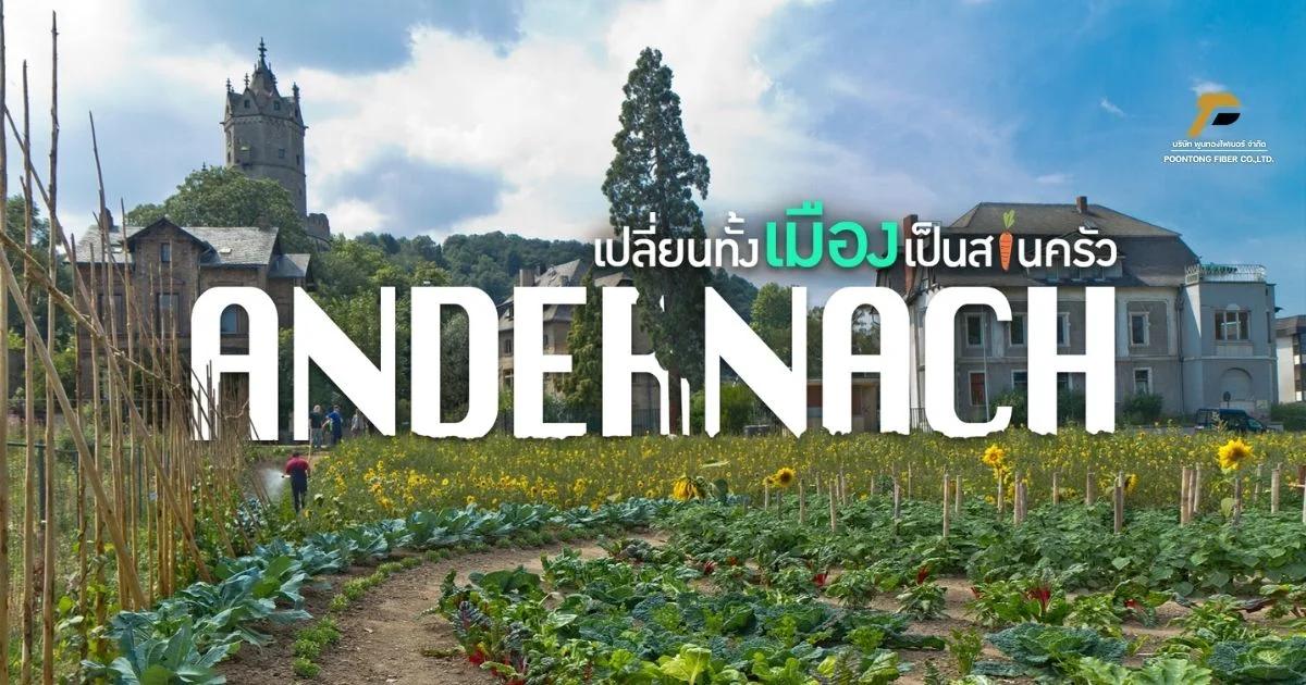 banner อันเดอร์นัค เมืองกินได้