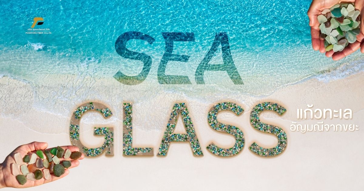 banner แก้วทะเล (Sea Glass)
