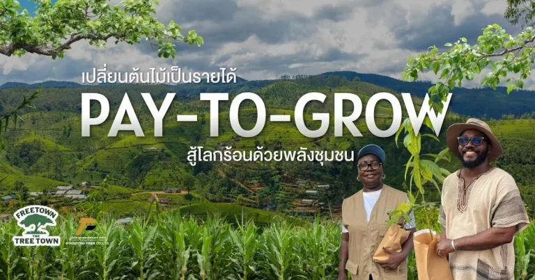 banner Pay-to-Grow