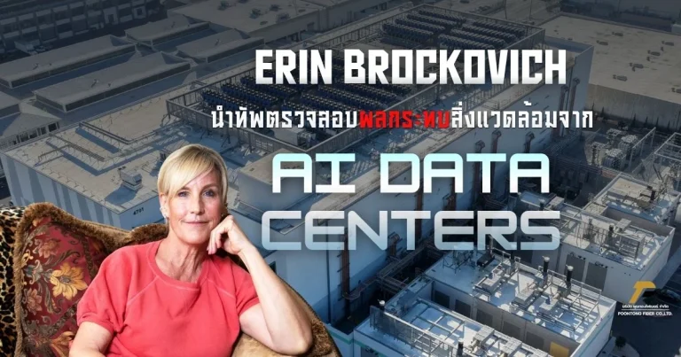 banner Erin Brockovich
