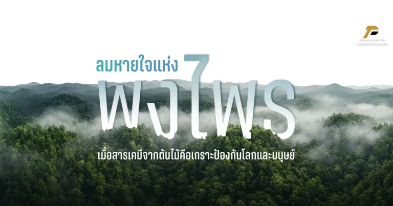 banner ลมหายใจแห่งพงไพร