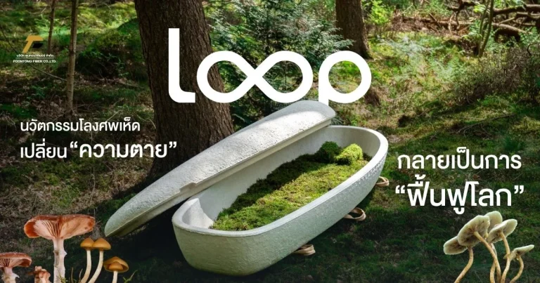 banner Loop Living Cocoon