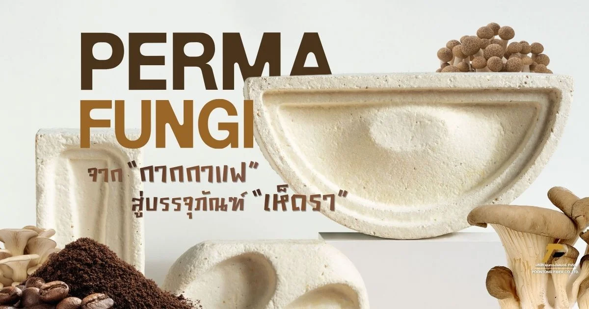 banner PermaFungi จากกากกาแฟสู่บรรจุภัณฑ์เห็ดรา