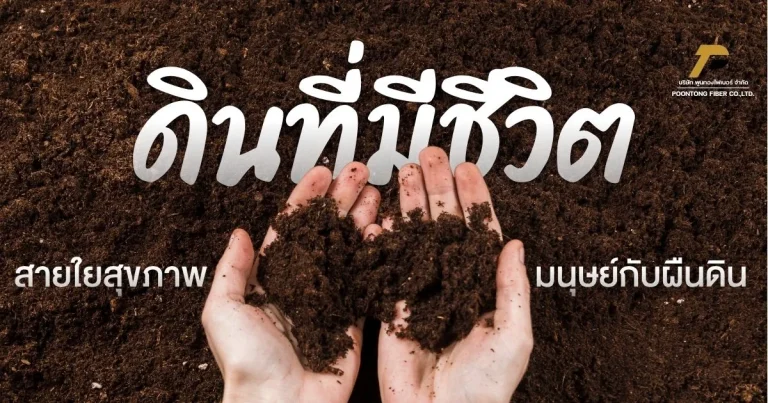 banner ดินที่มีชีวิต สายใยสุขภาพระหว่างมนุษย์กับผืนดิน