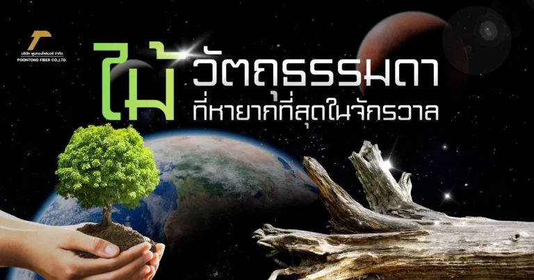 banner ไม้ วัตถุที่ธรรมดาบนโลก แต่อาจหายากที่สุดในจักรวาล
